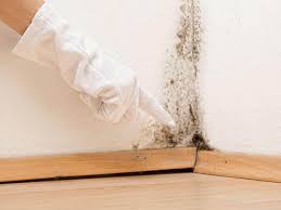 Best Residential Mold Inspection & Testing  in Ashland City, TN